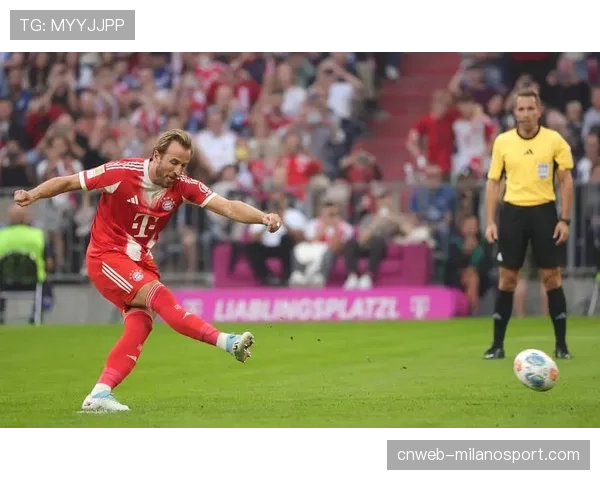 德甲历史数据：拜仁近14个赛季豪取13座冠军